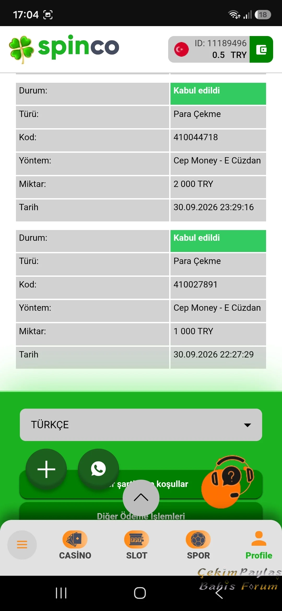 43251.webp